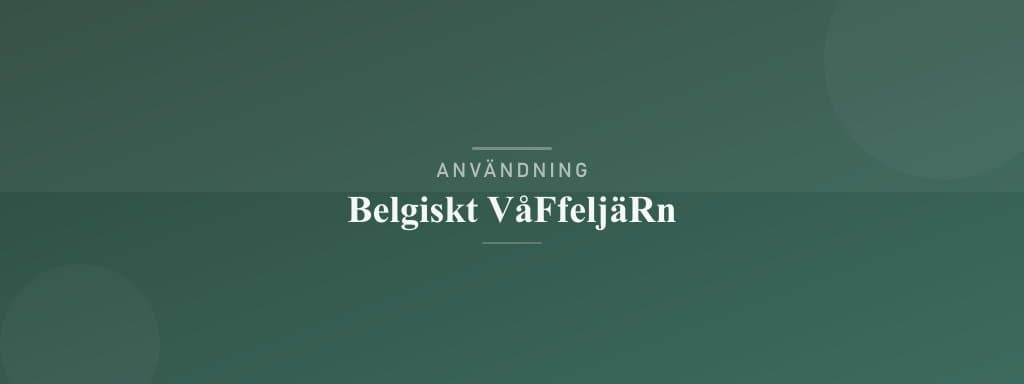Användning belgiskt våffeljärn