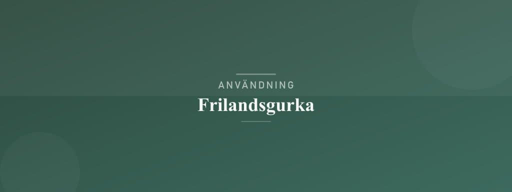 Användning frilandsgurka