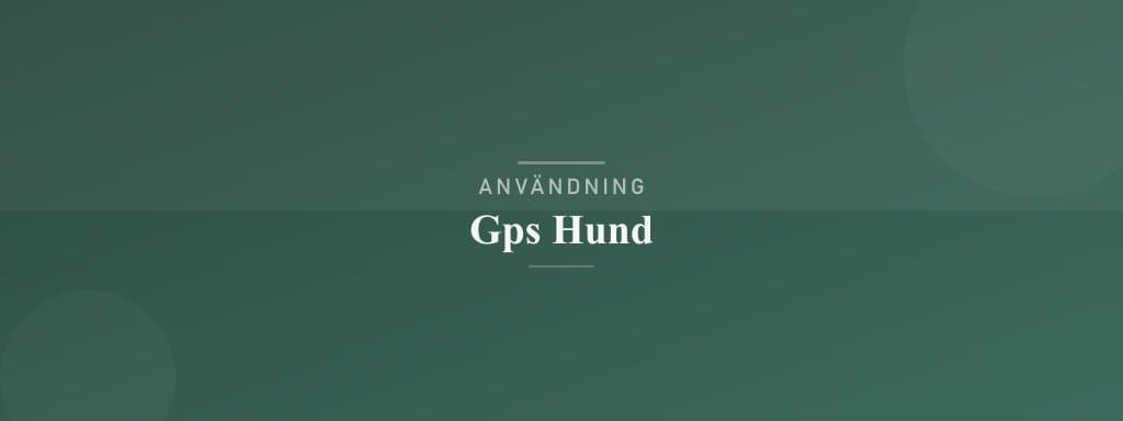 Användning gps hund