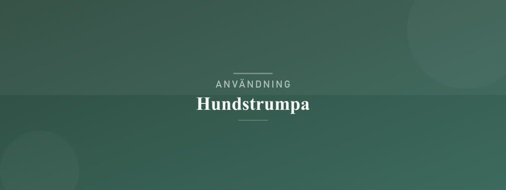 Användning hundstrumpa