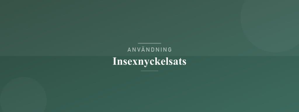Användning insexnyckelsats