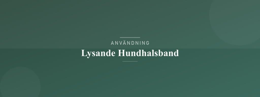 Användning lysande hundhalsband