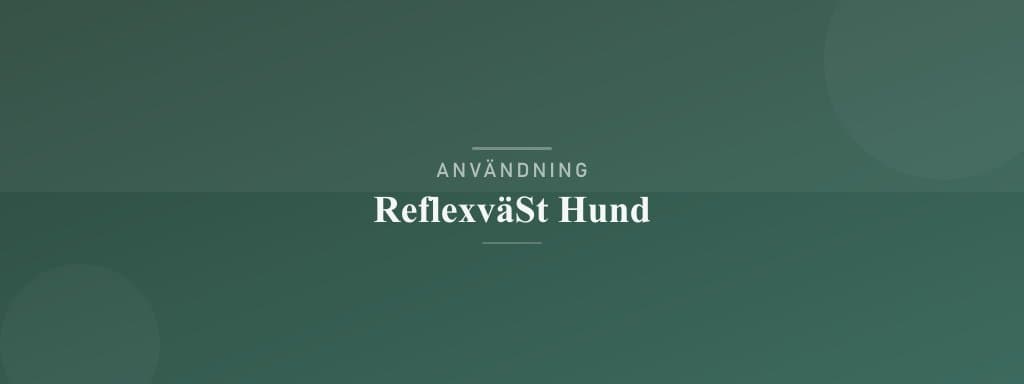 Användning reflexväst hund