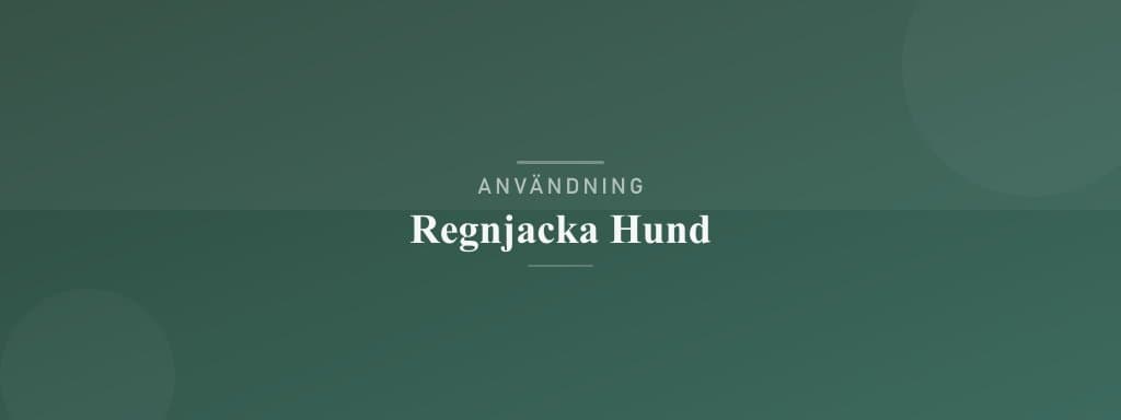 Användning regnjacka hund
