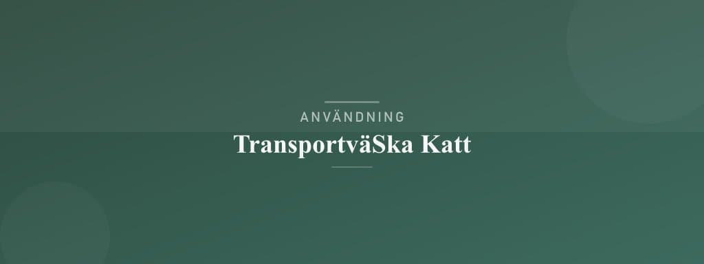 Användning transportväska katt