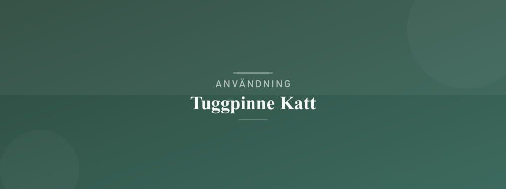 Användning tuggpinne katt