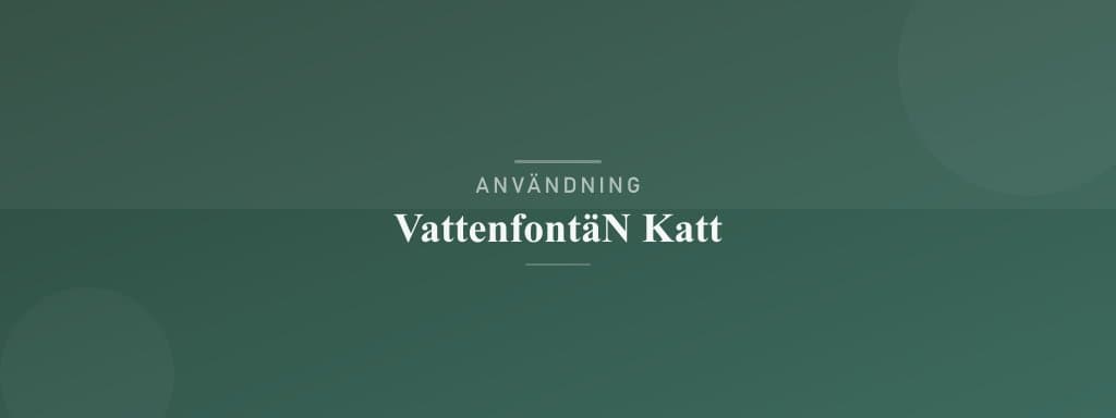 Användning vattenfontän katt