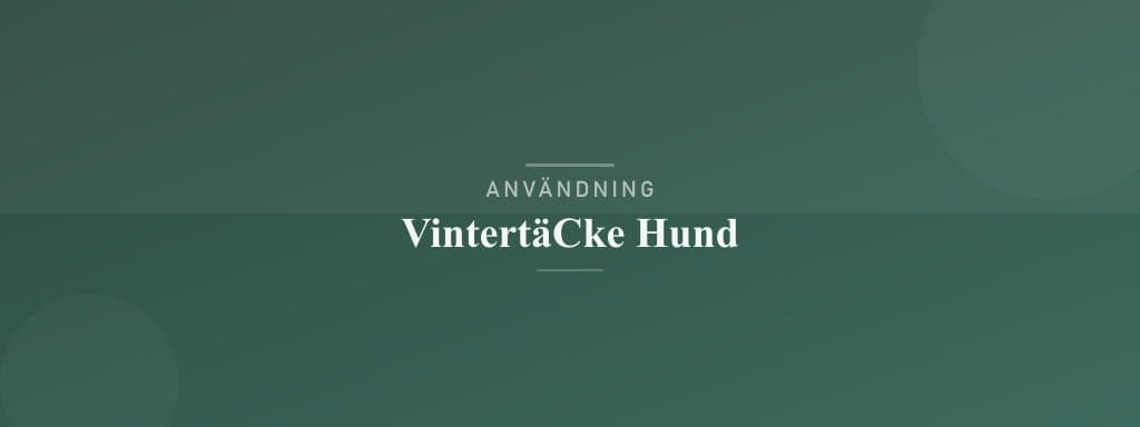 Användning vintertäcke hund
