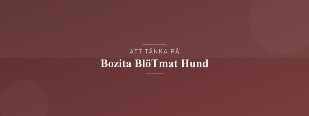 Vanliga misstag med bozita blötmat hund