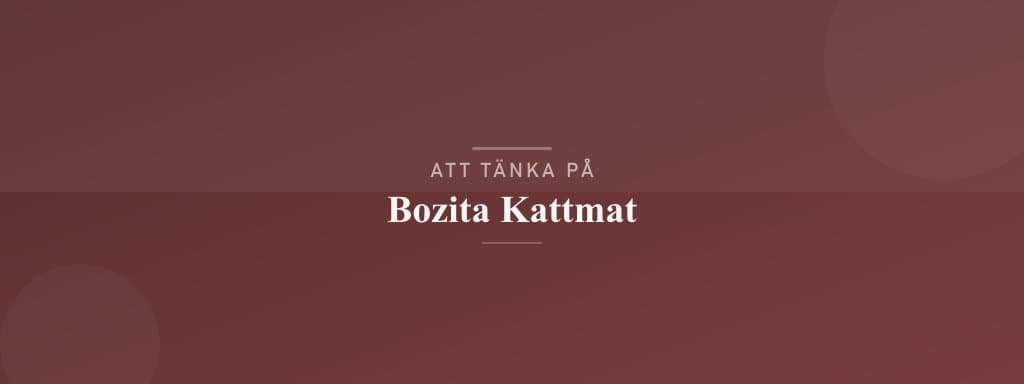 Vanliga misstag med bozita kattmat