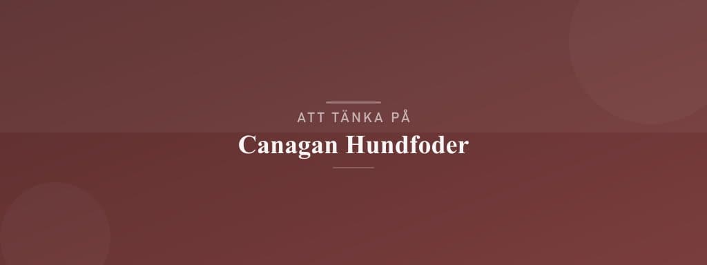 Vanliga misstag med canagan hundfoder