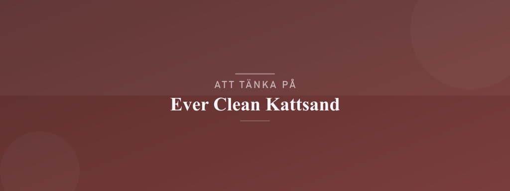 Vanliga misstag med ever clean kattsand