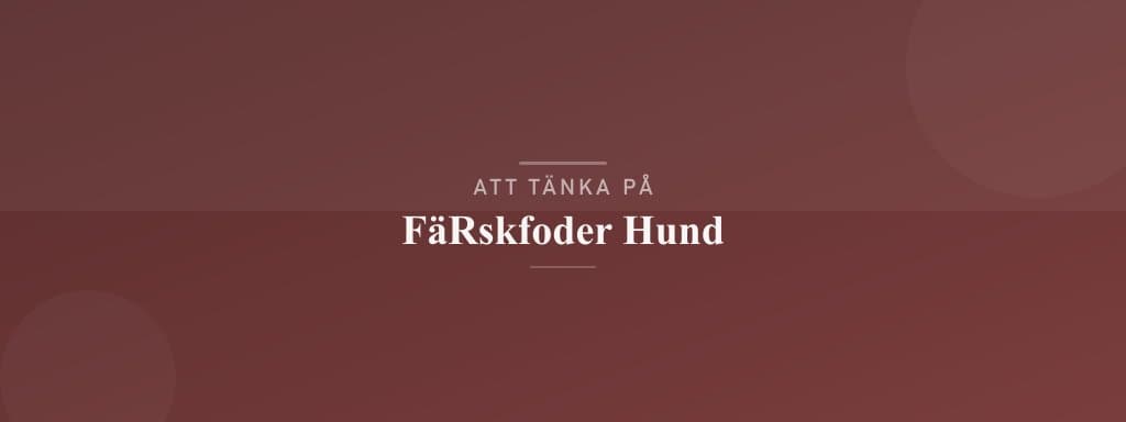 Vanliga misstag med färskfoder hund