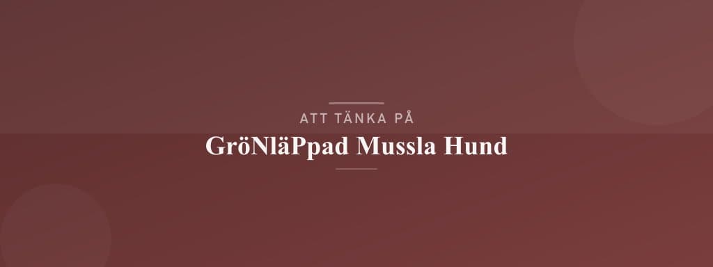 Vanliga misstag med grönläppad mussla hund