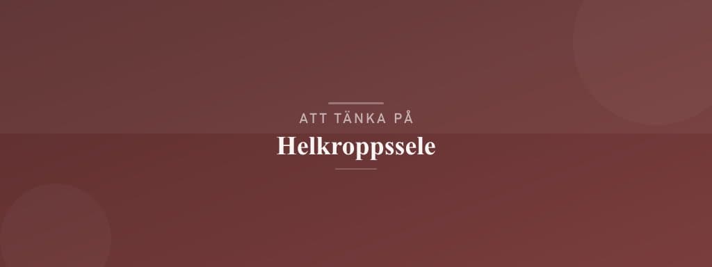 Vanliga misstag med helkroppssele