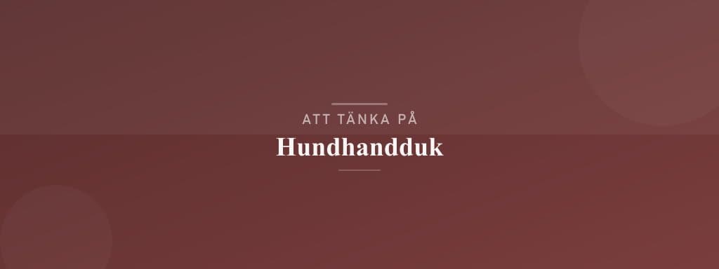 Vanliga misstag med hundhandduk