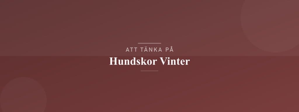 Vanliga misstag med hundskor vinter