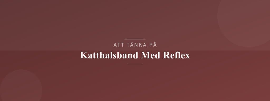 Vanliga misstag med katthalsband med reflex