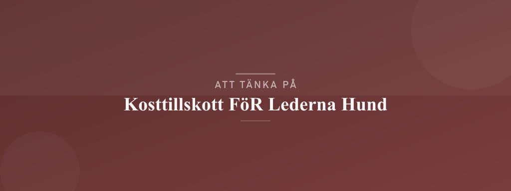 Vanliga misstag med kosttillskott för lederna hund