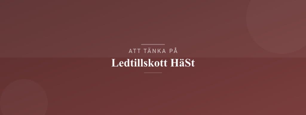 Vanliga misstag med ledtillskott häst