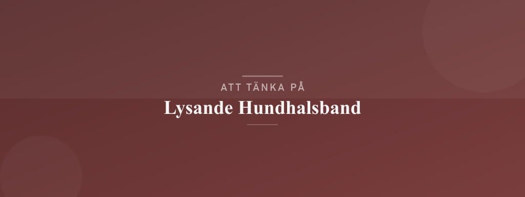 Vanliga misstag med lysande hundhalsband