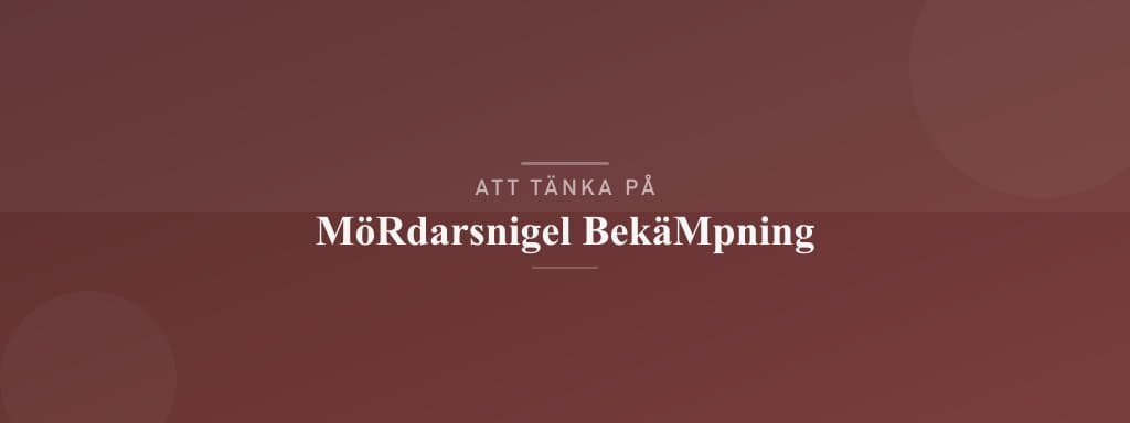 Vanliga misstag med mördarsnigel bekämpning