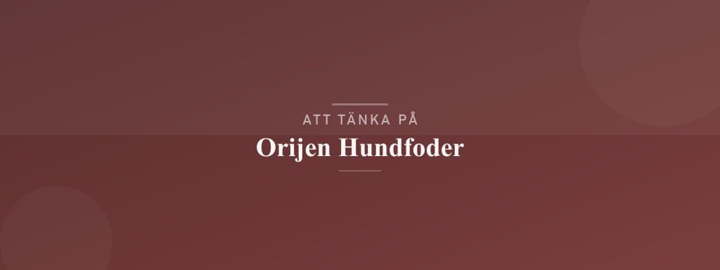Vanliga misstag med orijen hundfoder