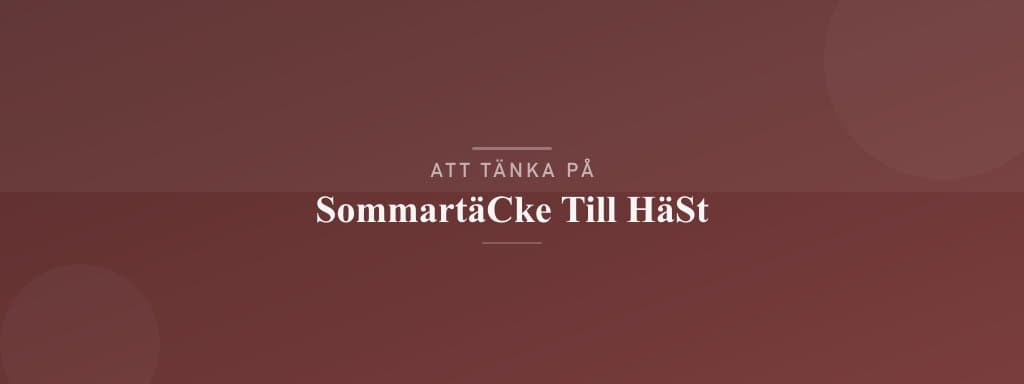 Vanliga misstag med sommartäcke till häst
