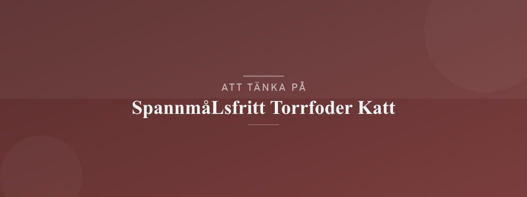 Vanliga misstag med spannmålsfritt torrfoder katt