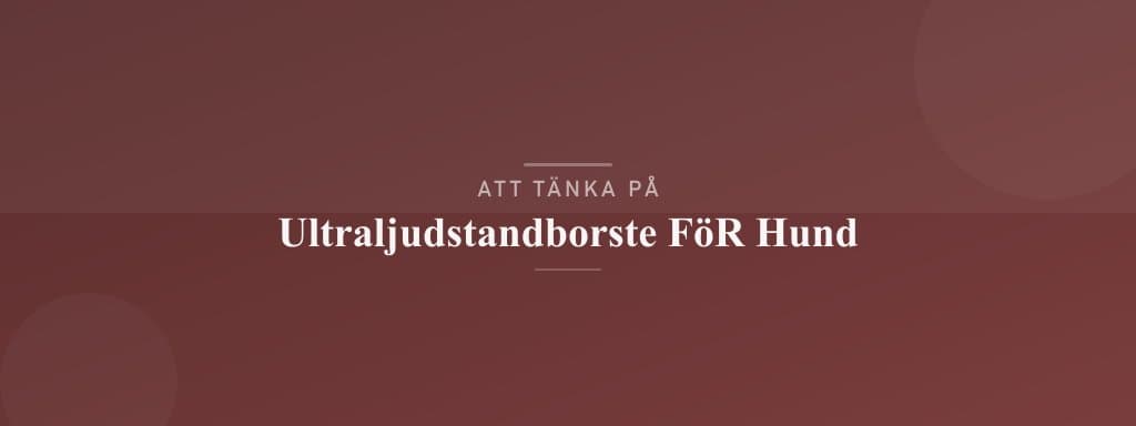 Vanliga misstag med ultraljudstandborste för hund