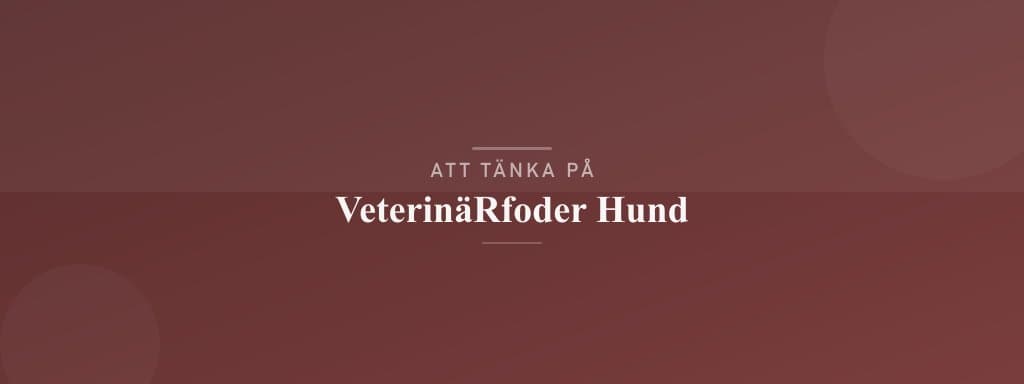 Vanliga misstag med veterinärfoder hund