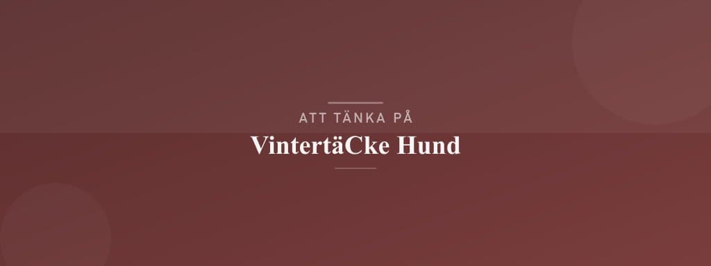 Vanliga misstag med vintertäcke hund