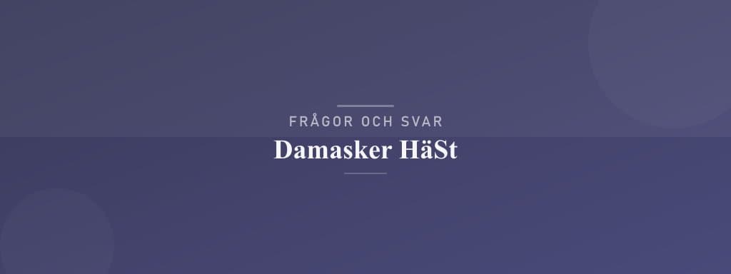 Vanliga frågor om damasker häst