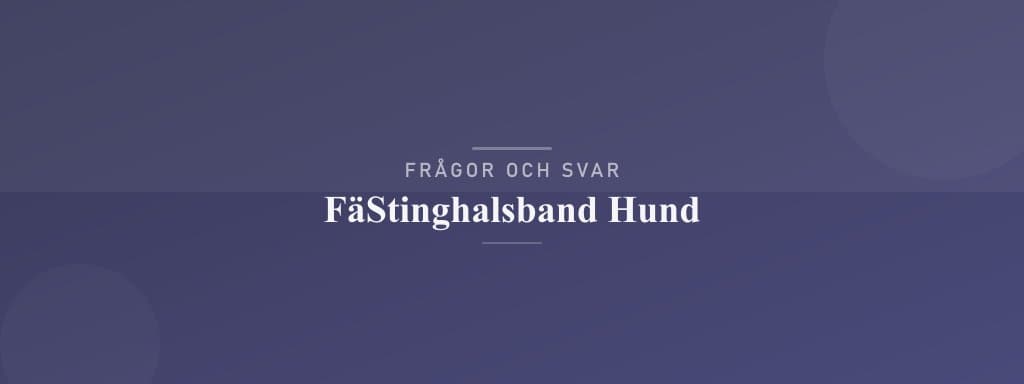 Vanliga frågor om fästinghalsband hund