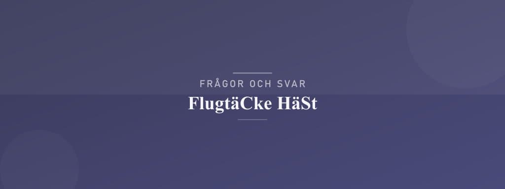 Vanliga frågor om flugtäcke häst