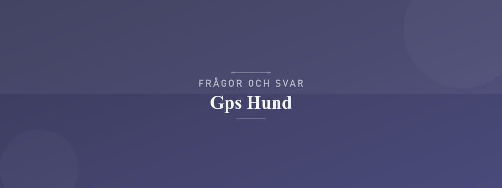 Vanliga frågor om gps hund