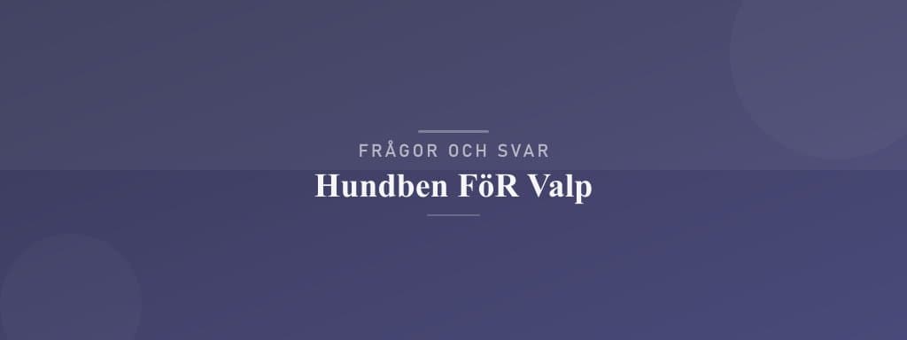 Vanliga frågor om hundben för valp