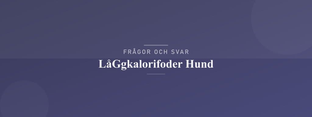 Vanliga frågor om låggkalorifoder hund