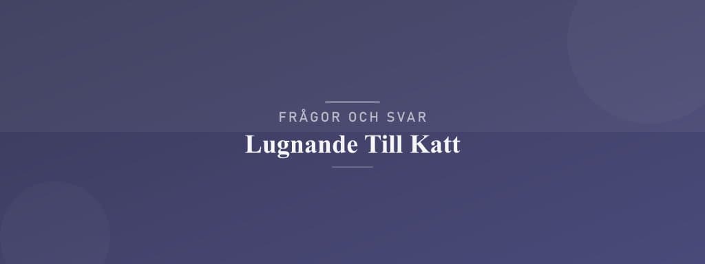 Vanliga frågor om lugnande till katt
