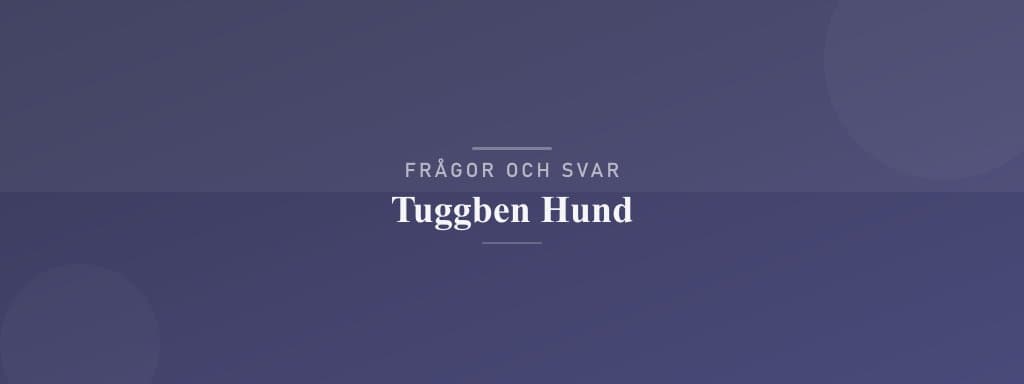 Vanliga frågor om tuggben hund