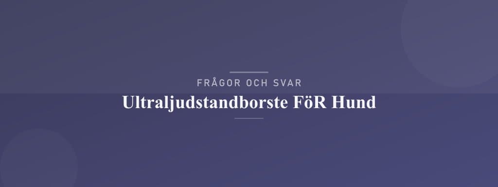 Vanliga frågor om ultraljudstandborste för hund