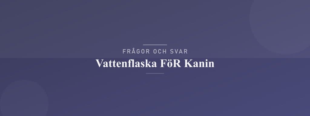 Vanliga frågor om vattenflaska för kanin