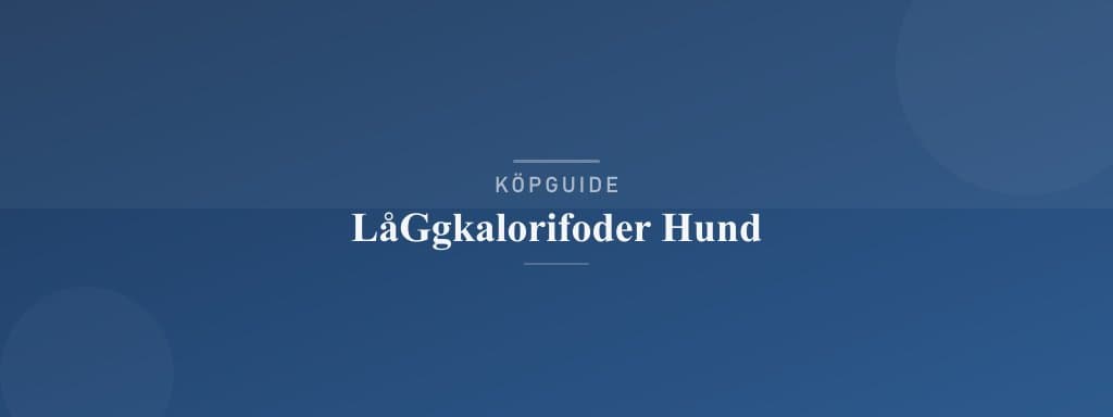 Välj rätt låggkalorifoder hund