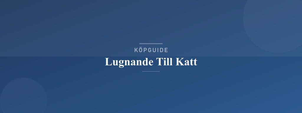 Välj rätt lugnande till katt