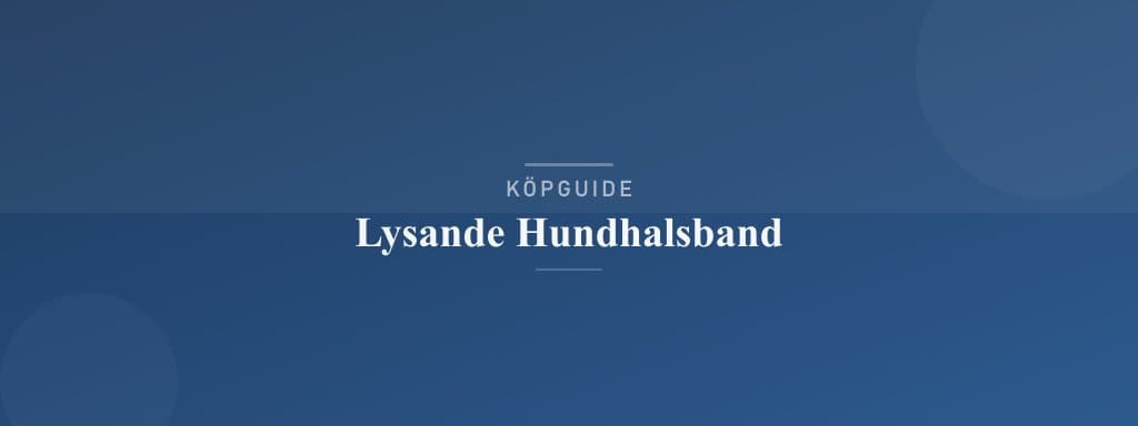Välj rätt lysande hundhalsband