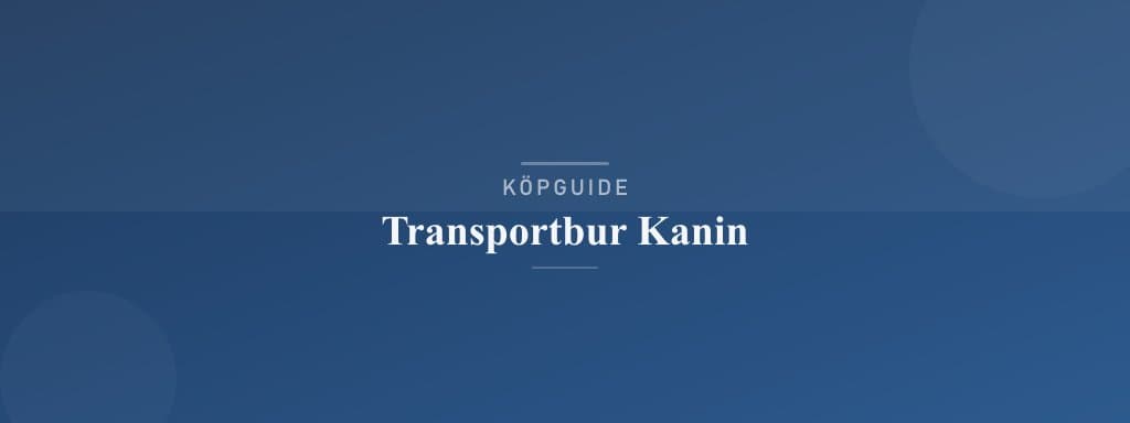 Välj rätt transportbur kanin