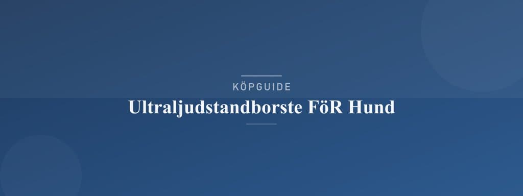 Välj rätt ultraljudstandborste för hund
