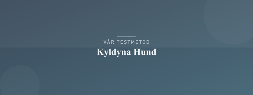 Så testar vi kyldyna hund