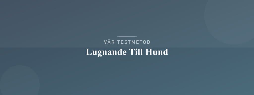 Så testar vi lugnande till hund