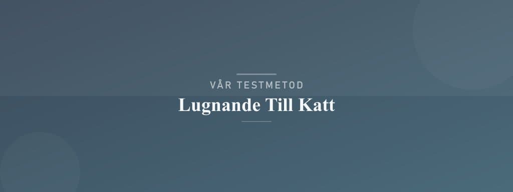 Så testar vi lugnande till katt